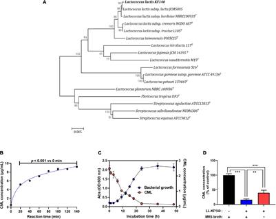 Lactococcus lactis KF140 Reduces Dietary Absorption of Nε - (Carboxymethyl)lysine in Rats and Humans via β-Galactosidase Activity
